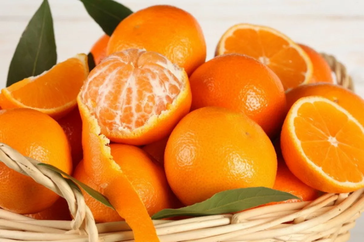 Uzbekistan Brings In Citrus Wave With 17,400 Tons of Oranges