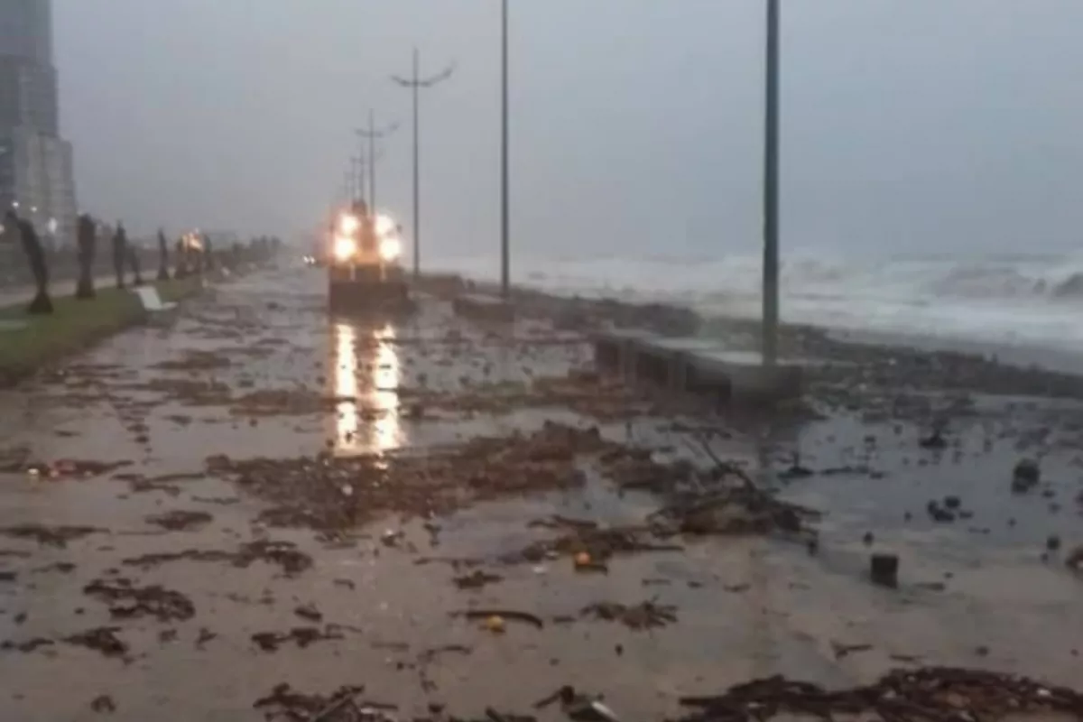 Strong Winds Damage Georgia's Batumi