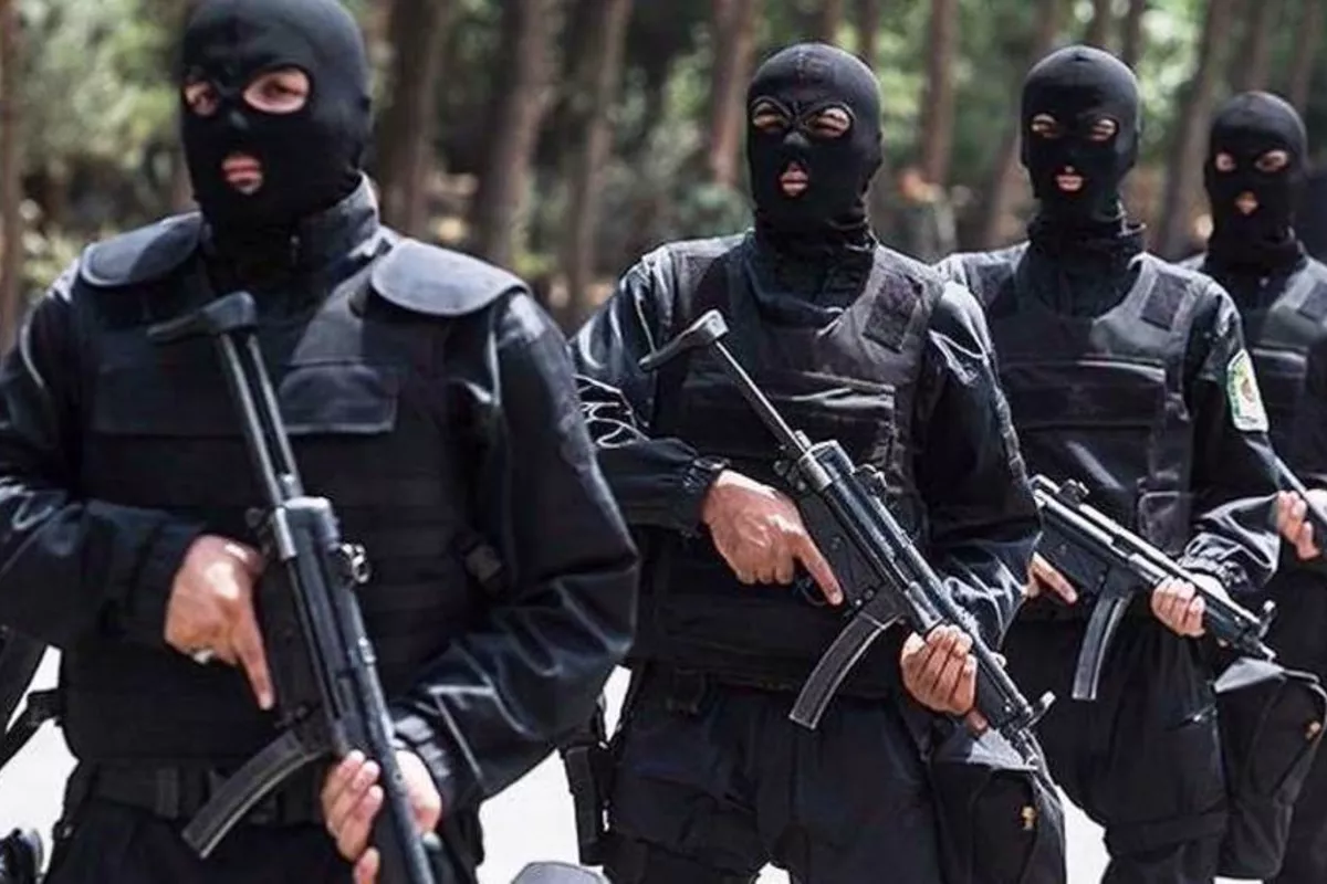 IRGC Arrests Nearly 240 People in Western Iran Operations