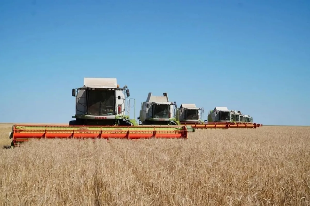 Kazakhstan's Akmola Records Historic 7.6 Million-Ton Grain Harvest, Boosting Export Potential