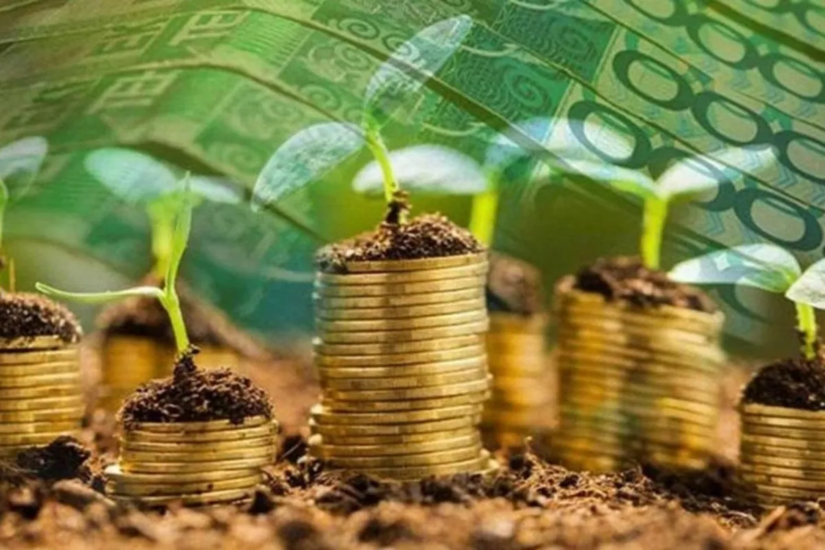 Kazakhstan Eyes Boost in Agricultural Exports to Türkiye