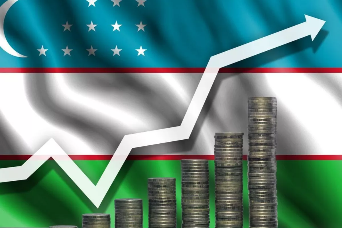 Which Sectors Draw the Most Investment in Uzbekistan?