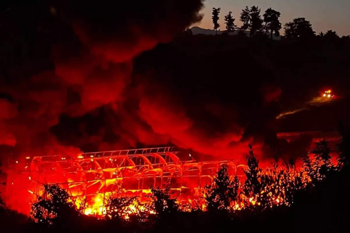 Massive Fire Engulfs Banana Greenhouse in Türkiye - VIDEO
