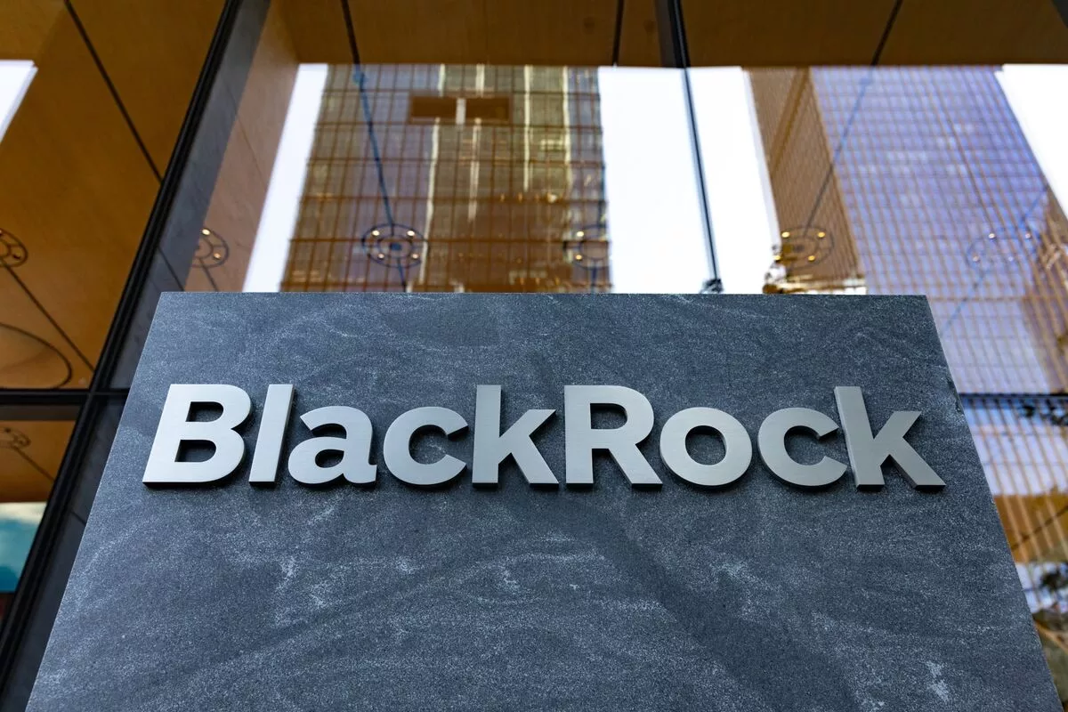 US Giant BlackRock Eyes Purchase of Uzbekistan’s Oil and Gas Assets