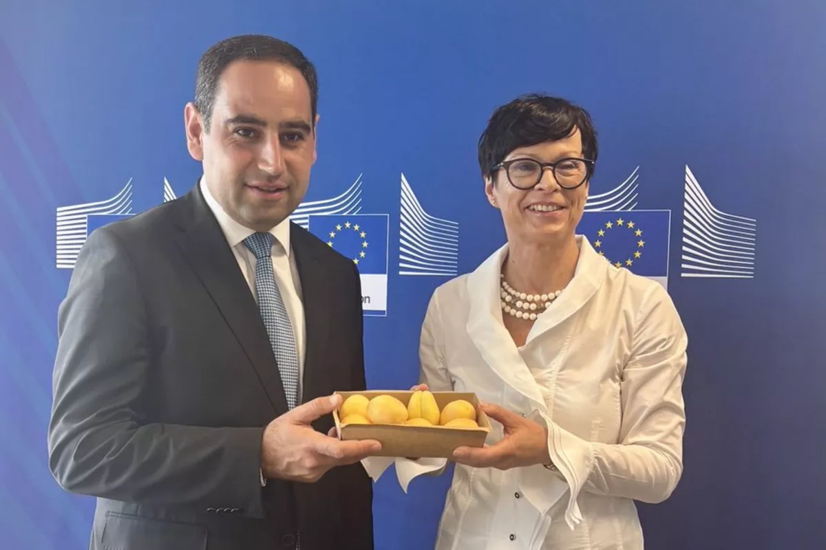 Armenian Apricots Reach EU Market as Russia Tightens Import Restrictions