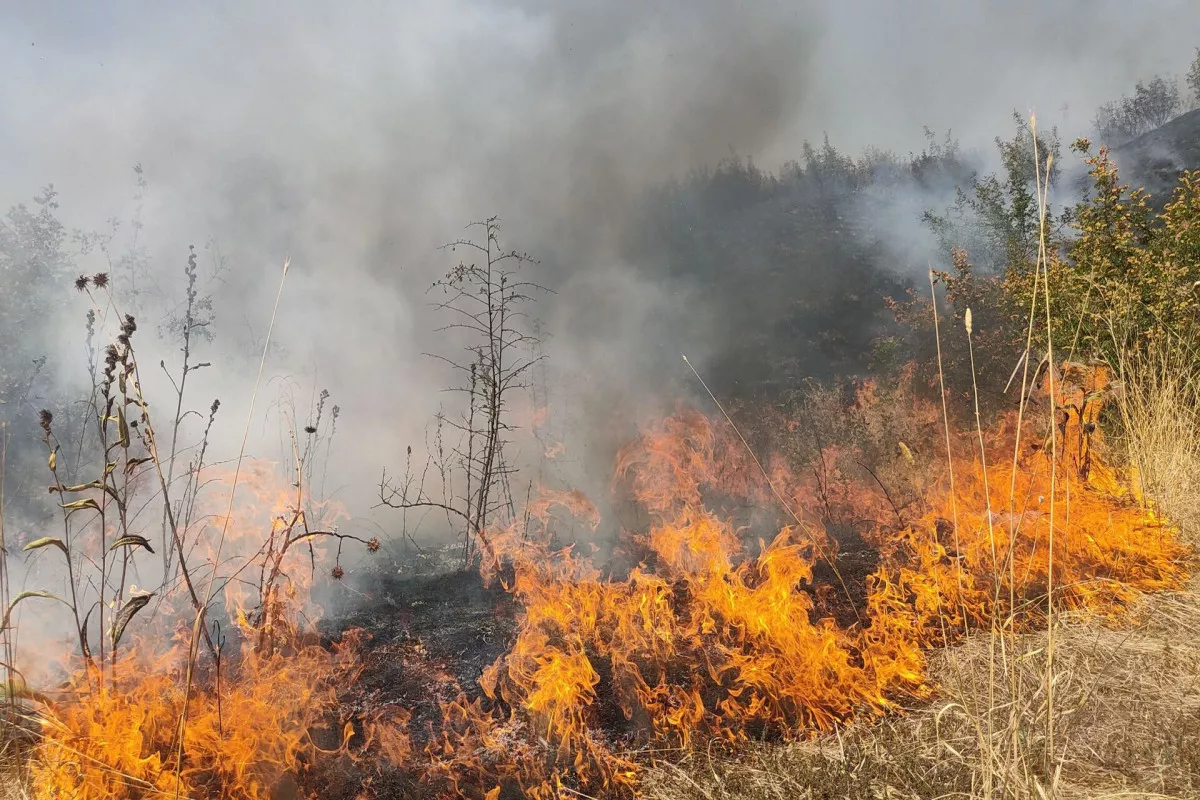 Azerbaijan Sends Helicopter to Fight Forest Fire in Aghdara