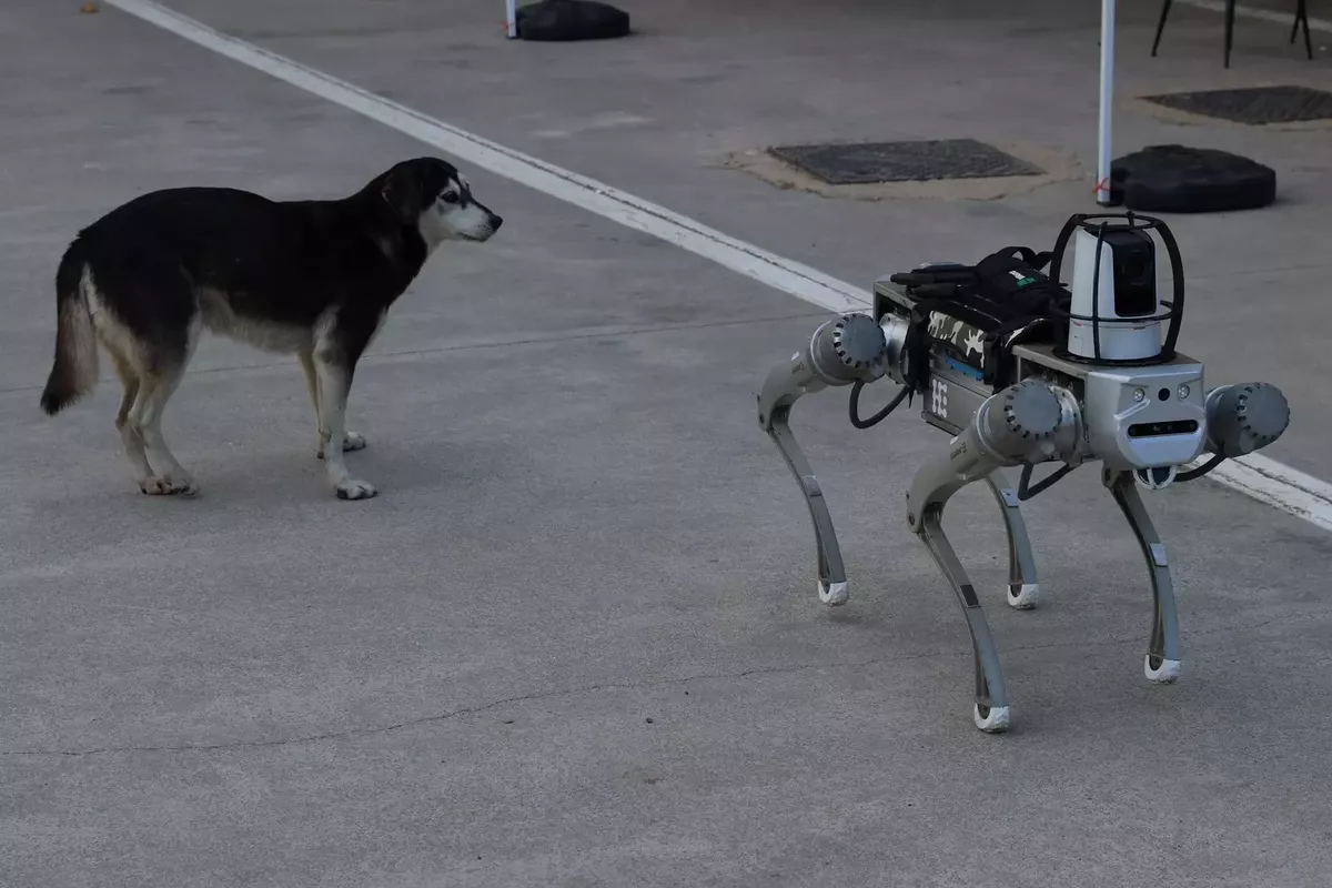 Türkiye Develops ‘Robot Dog’ Set to Join Military Inventory by Early 2026