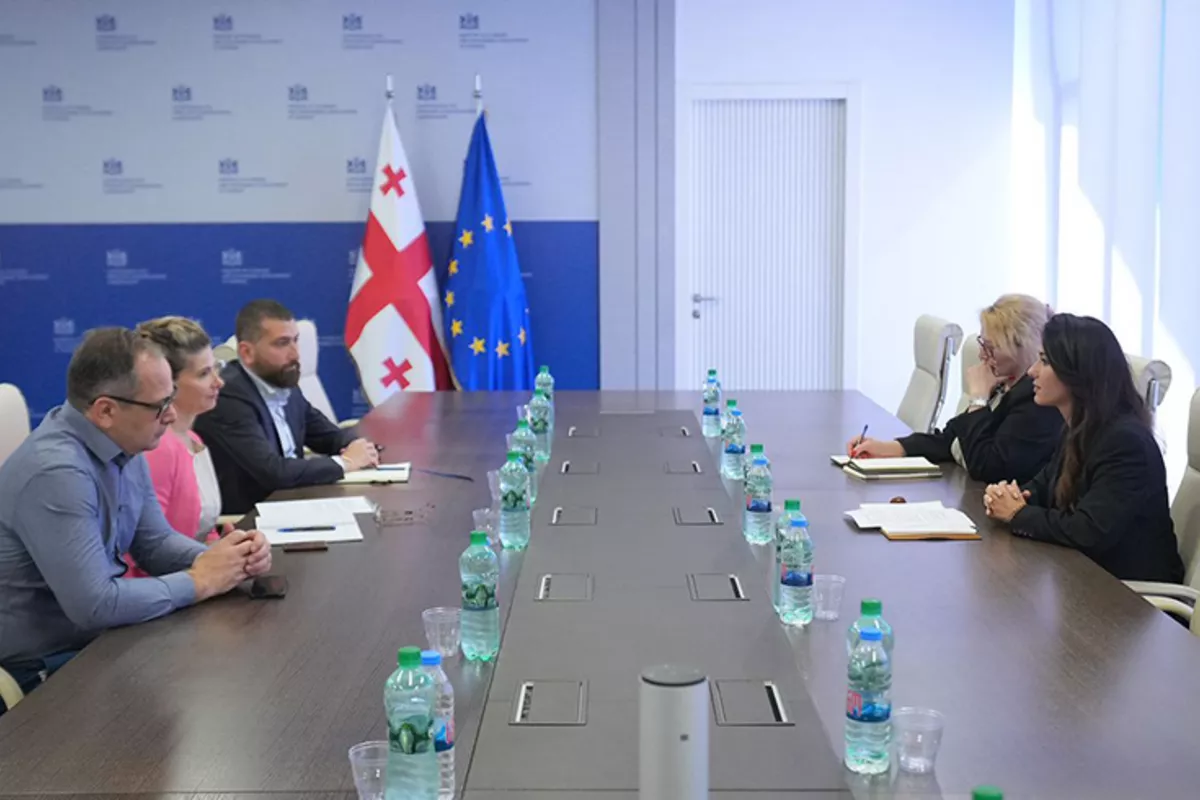 Georgia and ADB Explore New Energy and Infrastructure Development Projects