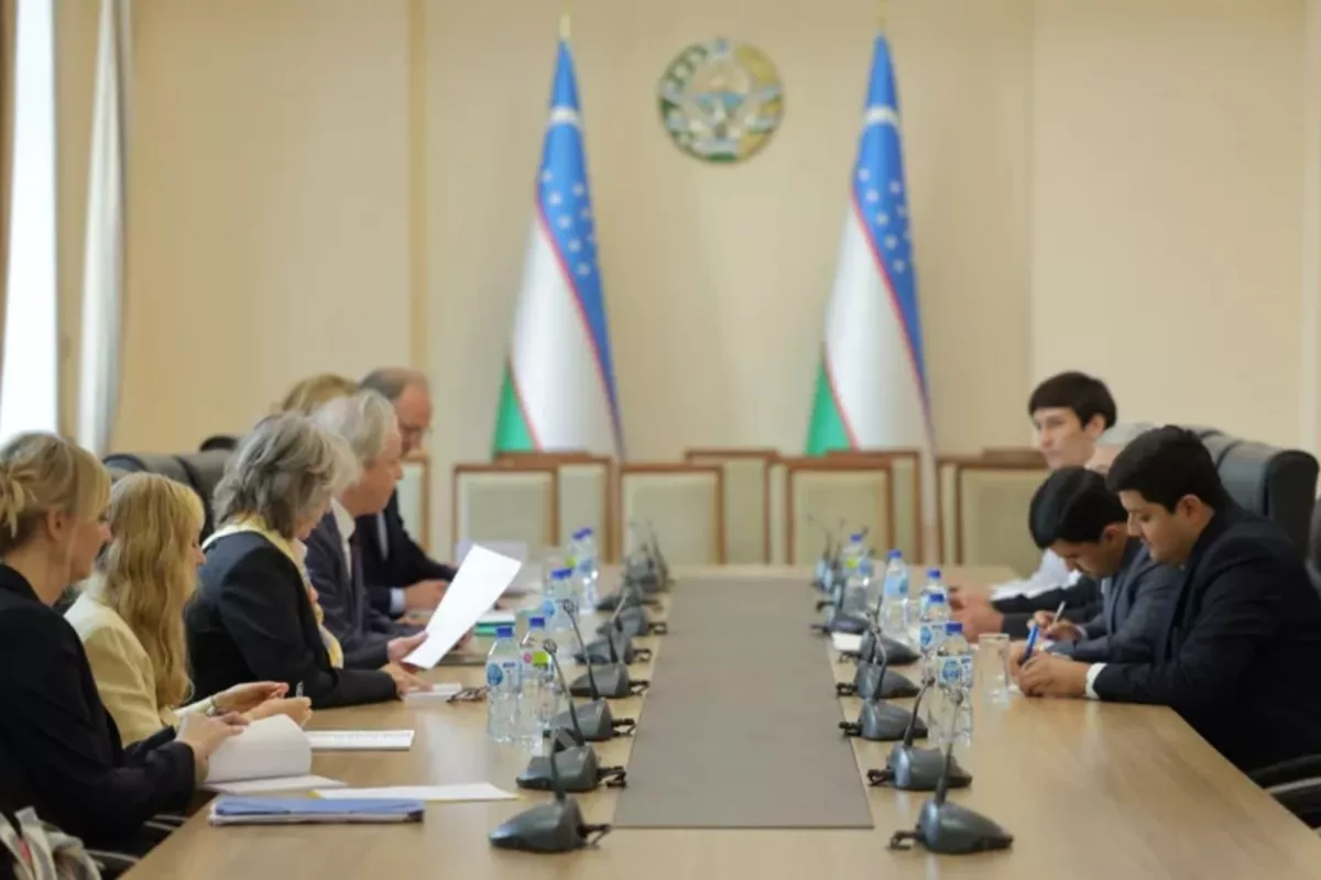 Uzbekistan, Sweden Explore Joint Projects in Several Areas