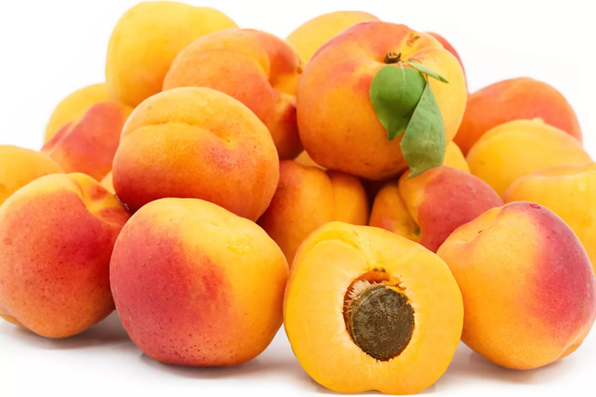 Tajikistan’s Asht District to Launch Major Apricot Processing Plant