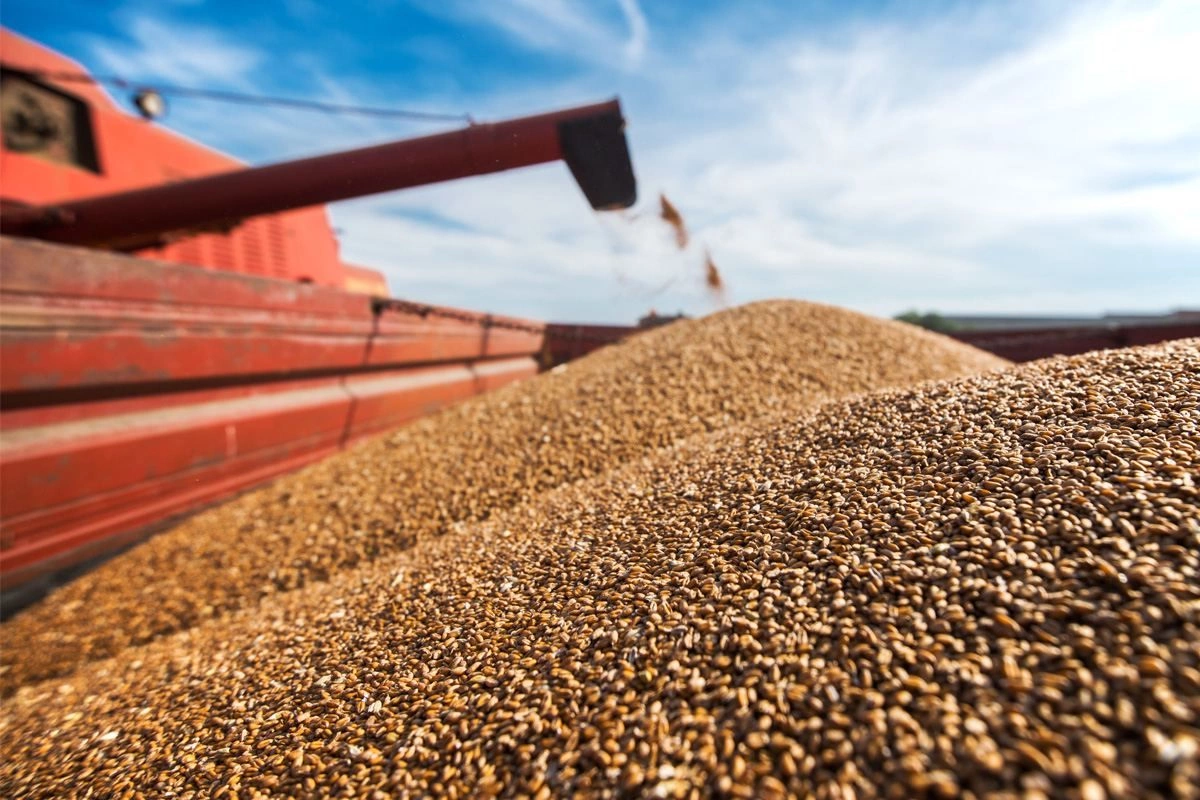 Azerbaijan Boosts Grain Exports from Kazakhstan