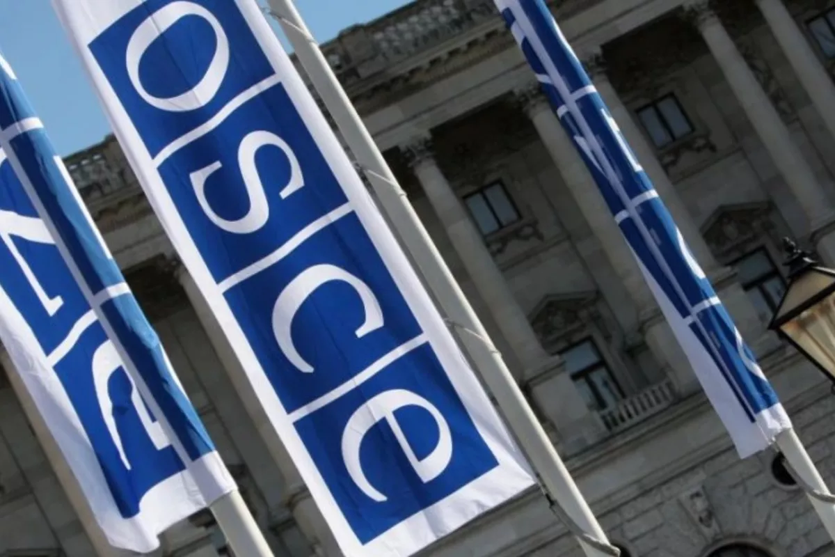 Georgia Dismisses OSCE Report as Complete Nonsense