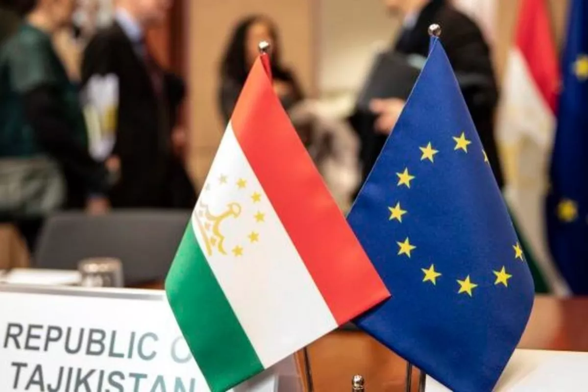 Tajikistan, EU Set Sights on Deeper Inter-Parliamentary Partnership