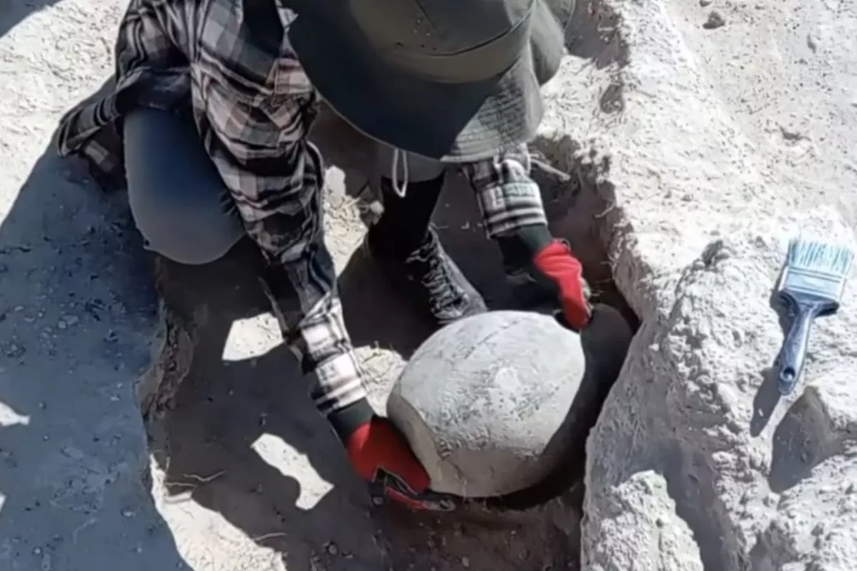 Archaeologists Discover 1,400-Year-Old Jug in Kazakhstan’s Settlement