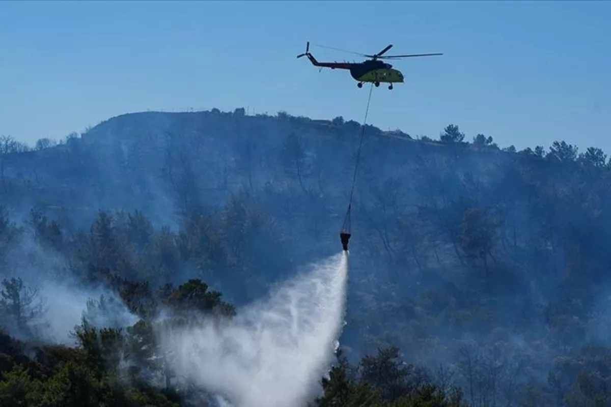Over 75 Nations Unite in Istanbul to Tackle Forest Fires with Technology