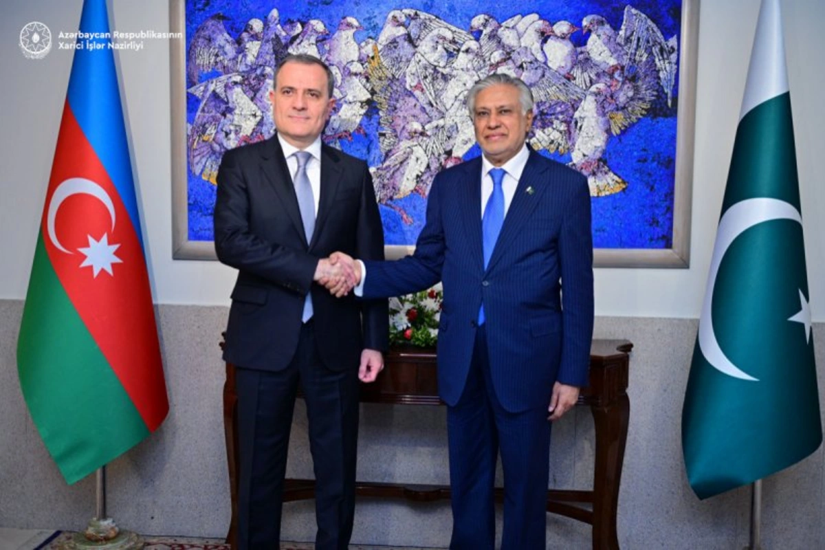 Azerbaijan's FM Discusses Rising Regional Tensions with Pakistani Counterpart