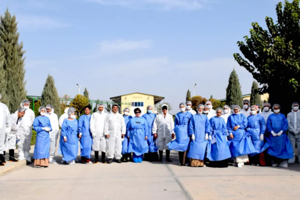 FAO Praises Turkmen Specialists for Brucellosis Training Success
