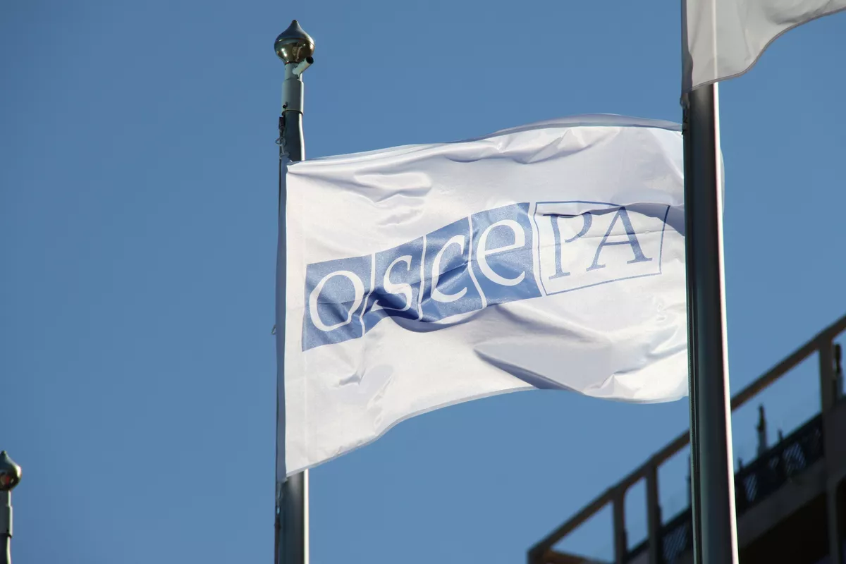 OSCE Parliamentary Assembly Applauds Progress in Azerbaijan-Armenia Peace Talks