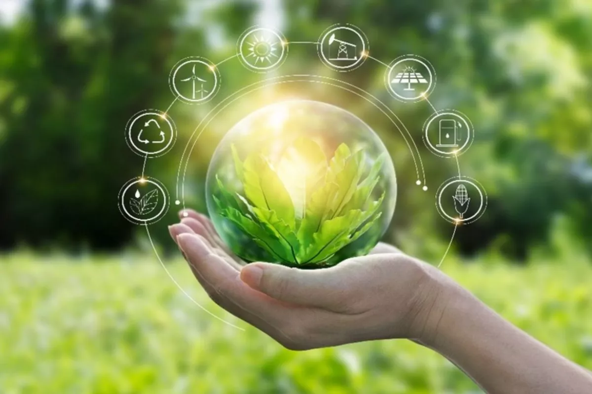 COP31: Türkiye's green transformation and climate economics