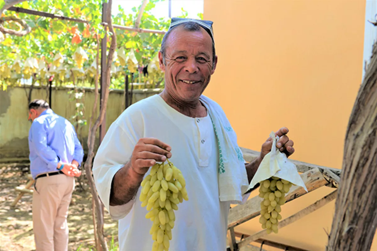 Uzum Sayli Festival Set to Boost Tourism and Viticulture in Uzbekistan’s Tashkent