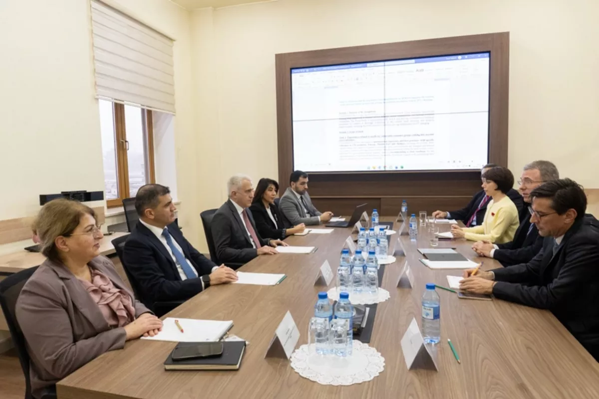 Azerbaijan Talks Renewable Energy, Electricity Tariffs with World Bank