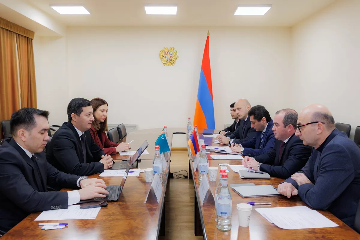 Turkmenistan Explores Armenian Tech Model for IT Park Growth