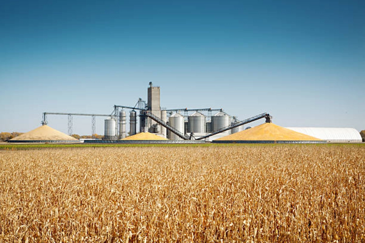 China to Construct Wheat Processing Plant in Kazakhstan