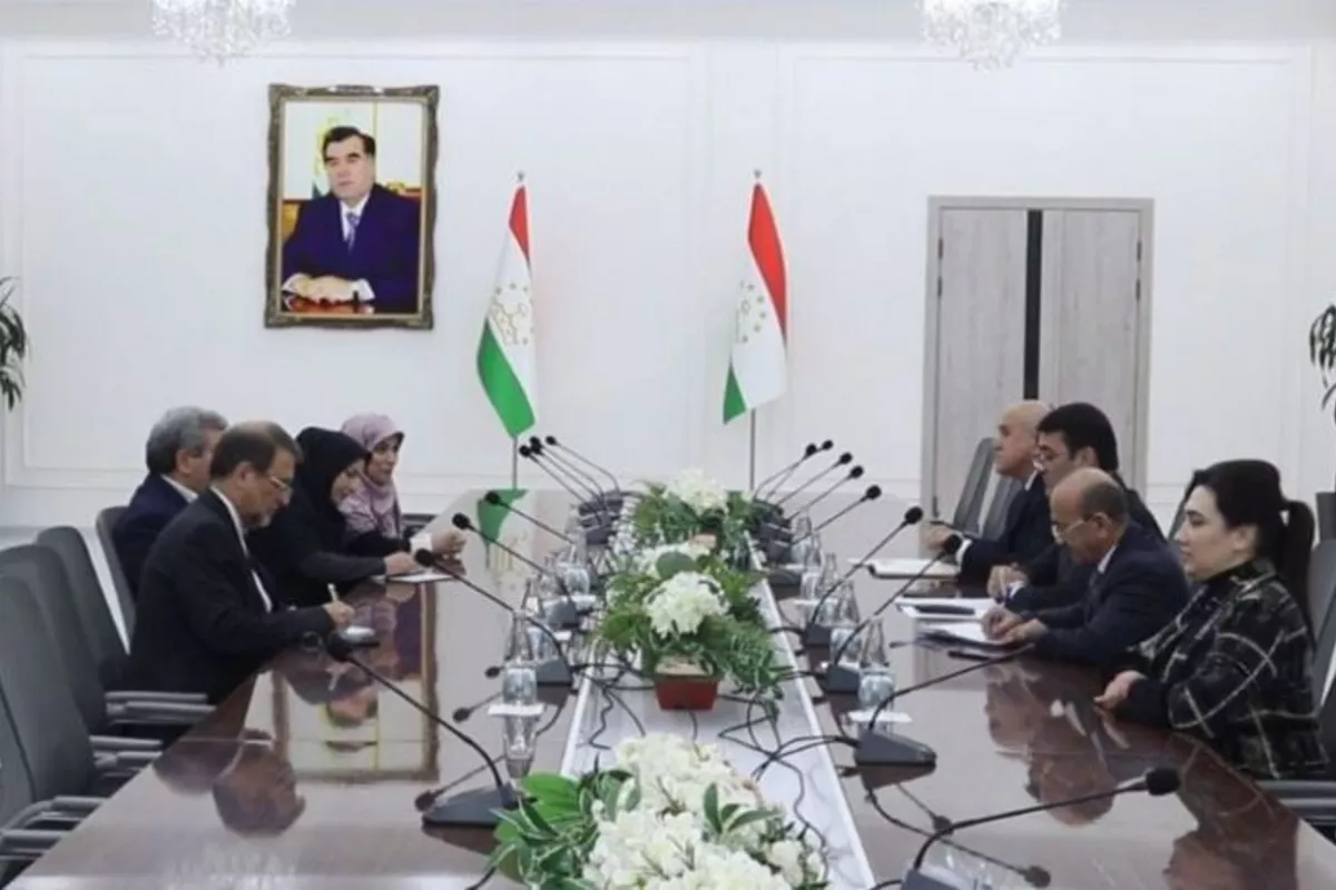 Iran, Tajikistan Agree on Roadmap for Social Welfare Ties