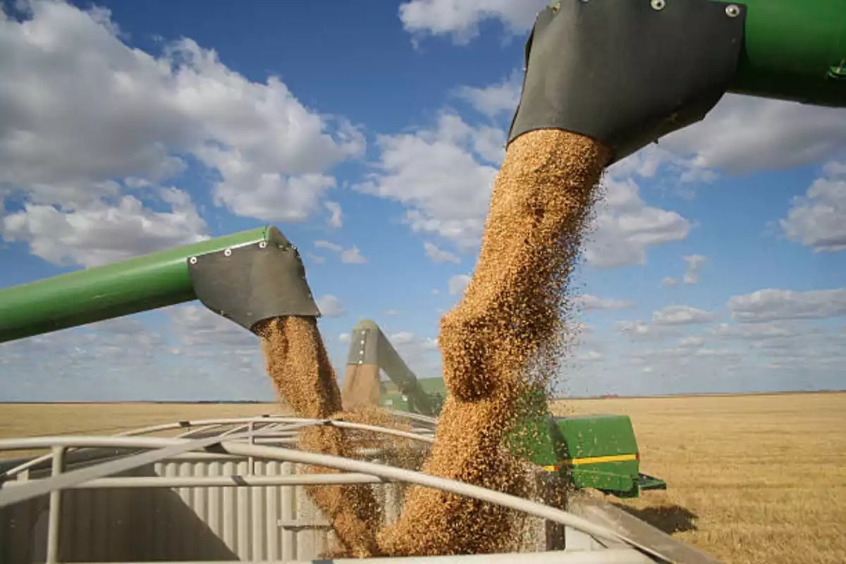 Kazakhstan Sees Growth in Grain Exports, Uzbekistan Tops Import List