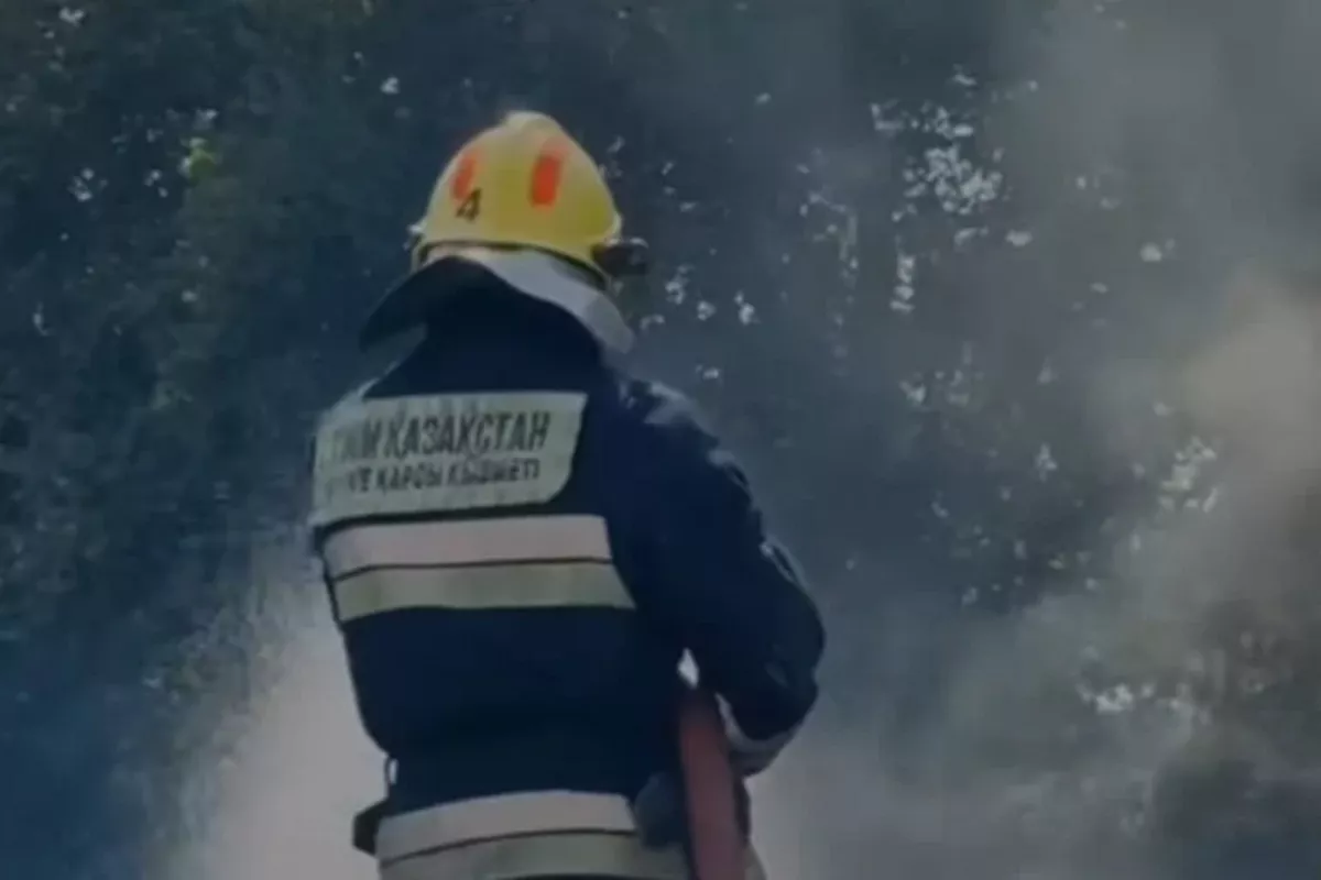 Blaze Erupts in Kazakhstan's Almaty Workshop, Firefighters Quickly Contain Flames
