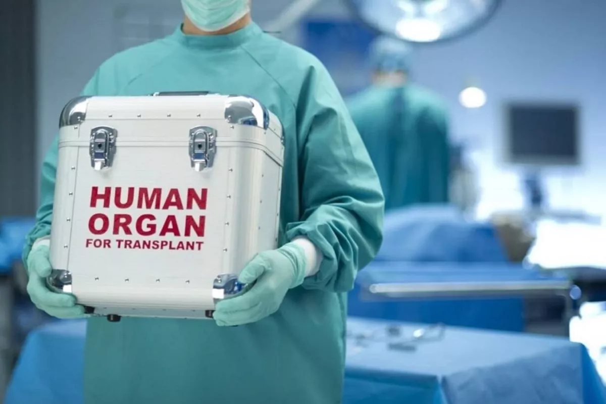 Uzbekistan Opens Door for Private Sector in Organ Transplant Surgery