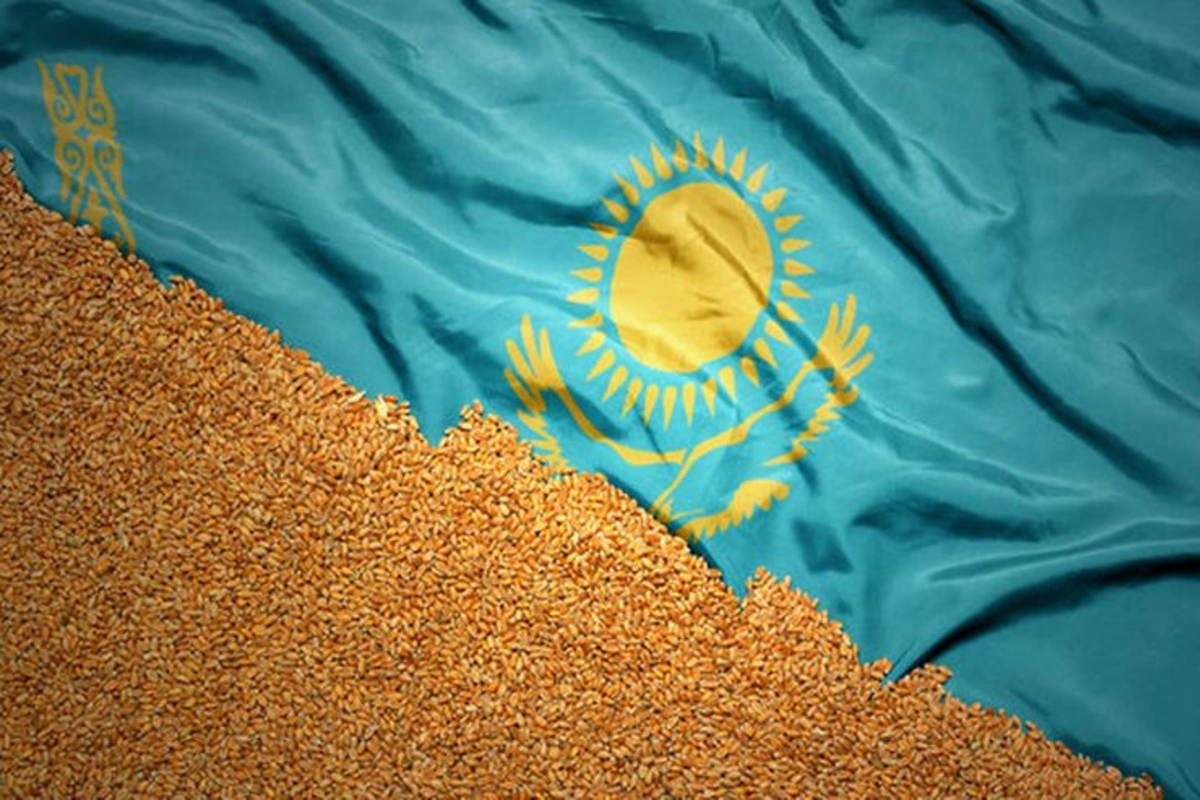 Kazakhstan Opts Not to Extend Wheat Import Ban