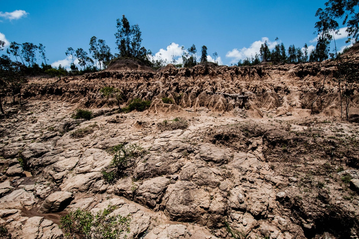 COP29: Central Asian Countries Facing Loss of Arable Land