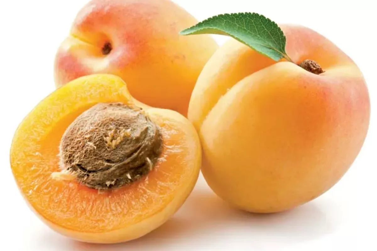 Armenia Opens New Export Route as Apricots Head to Singapore - VIDEO