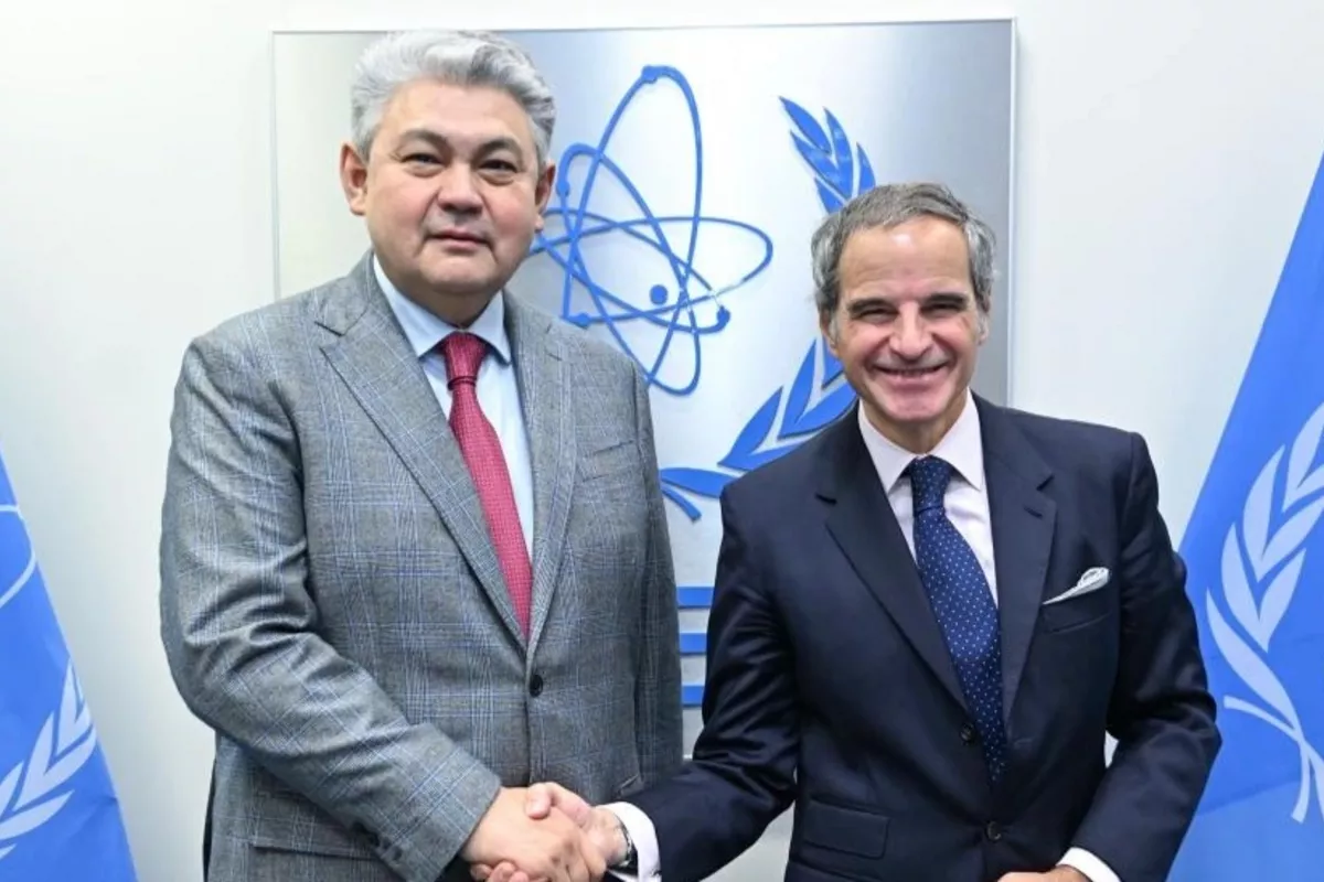 Kazakh FM, IAEA Chief Discuss Nuclear Energy Cooperation