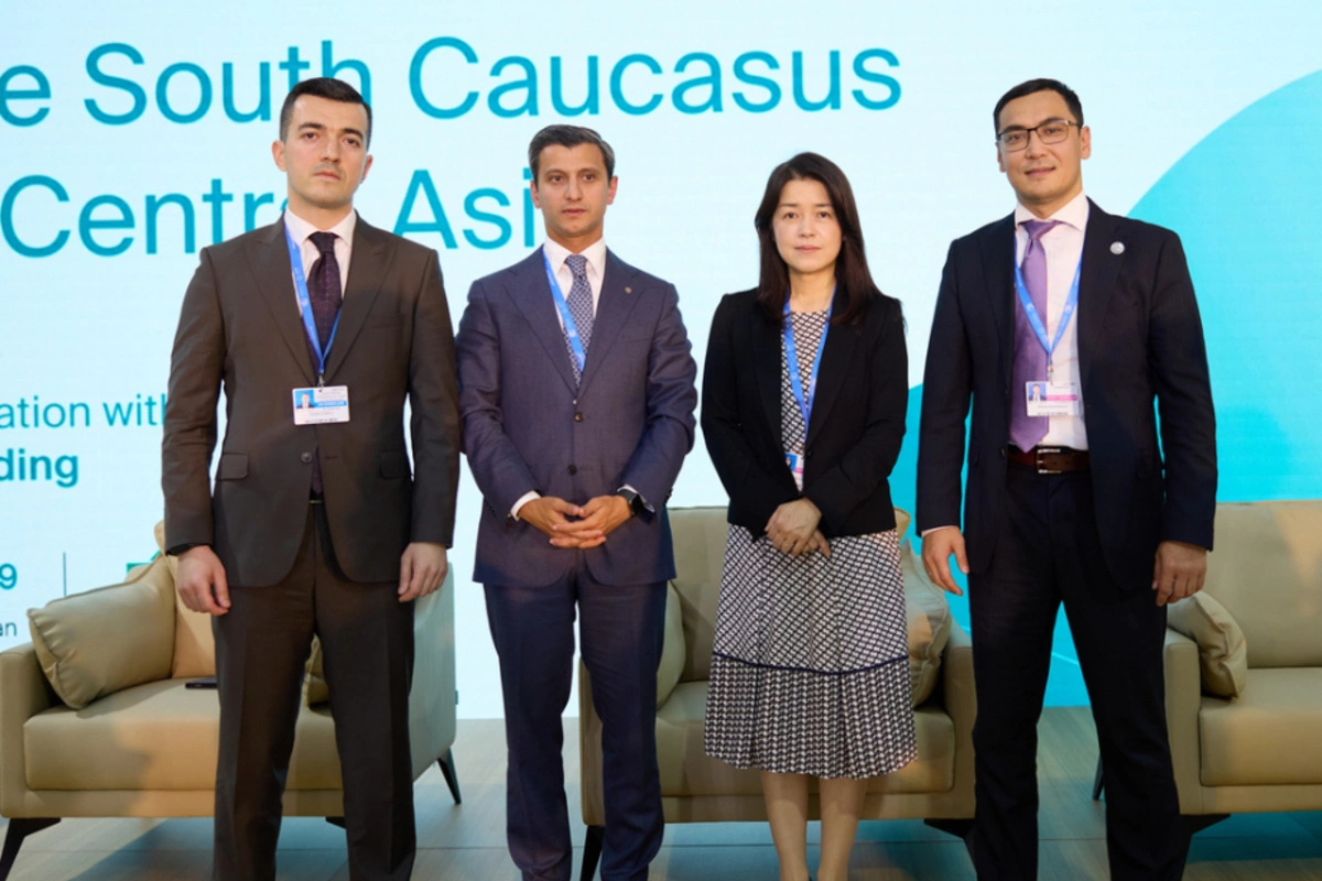 COP29: Panel held on Climate Finance in the South Caucasus and Central Asia