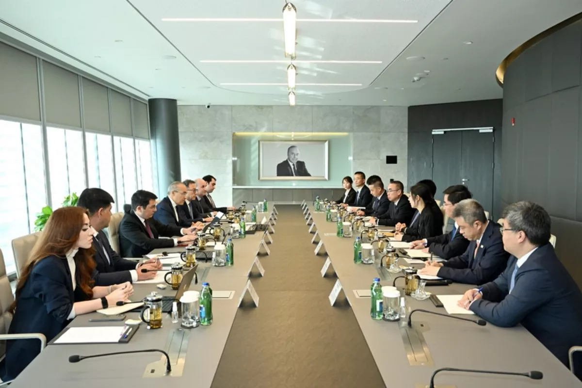 Azerbaijan and China Discuss Collaboration on Green Energy Projects