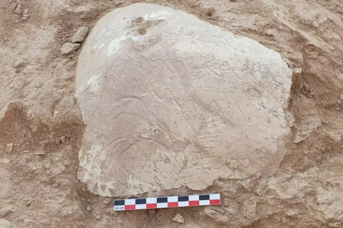 Archaeologists Discover Ancient Altar and Unique Ossuary in Uzbekistan