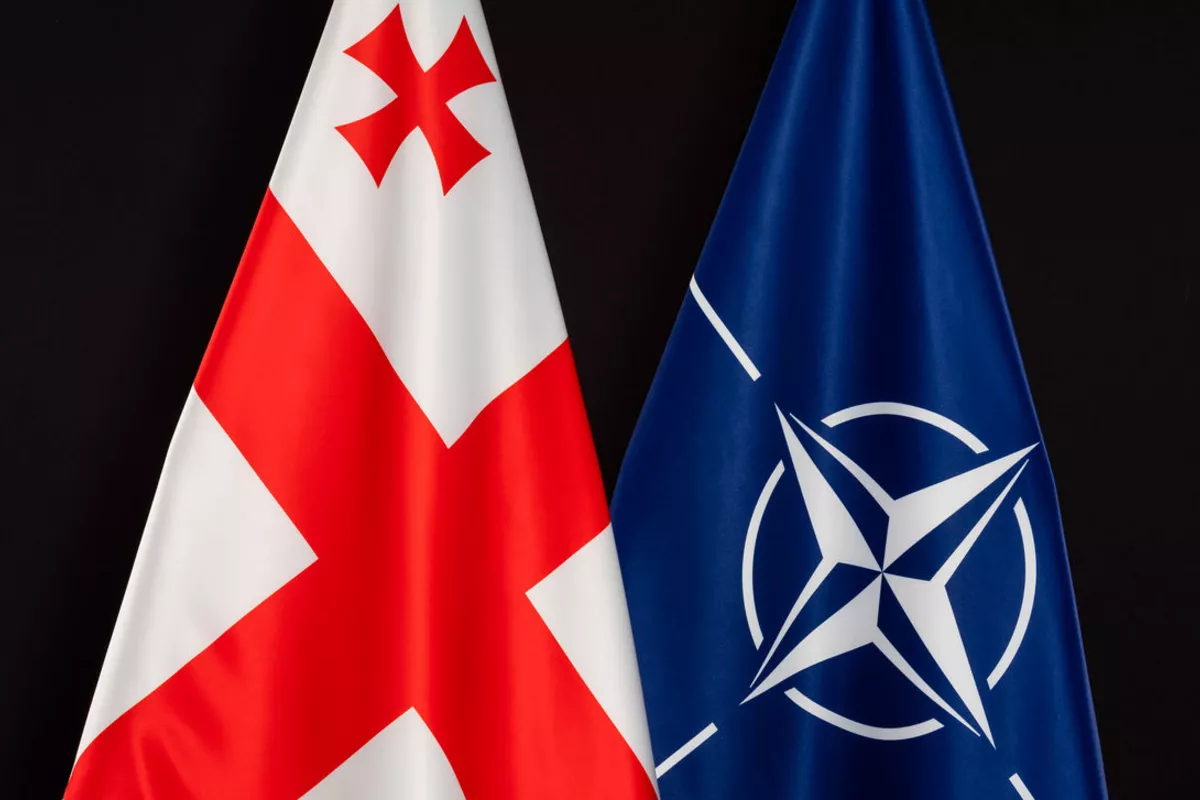 NATO, Georgian Special Forces Launch Military Exercises