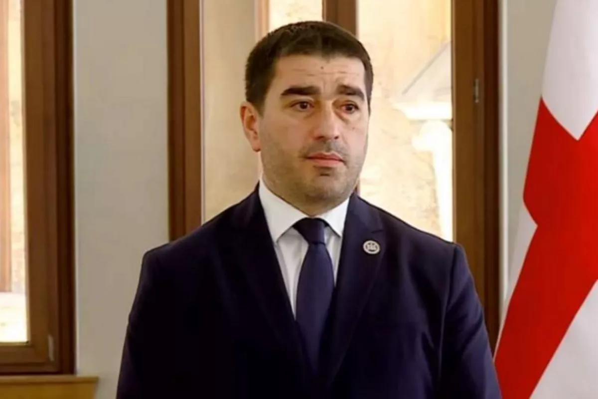 Georgia’s Parliament Speaker Warns of Rising Foreign Meddling
