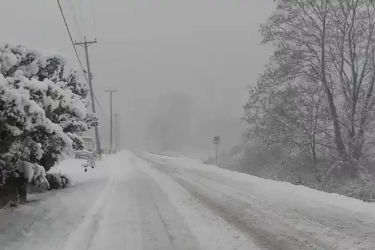 Blizzard Traps Cars in Kazakhstan, 20 People Rescued