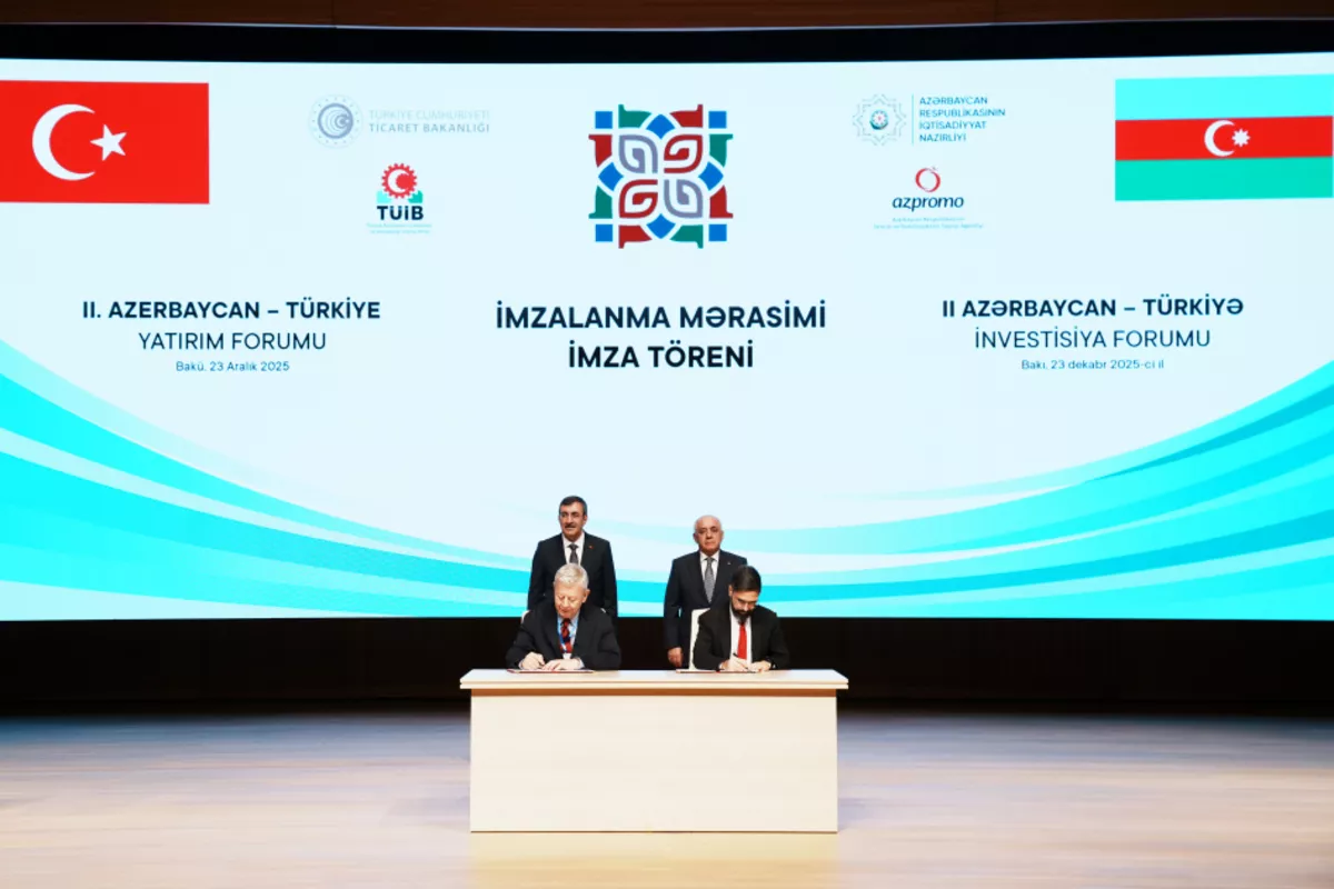 SOCAR Türkiye Acquires GAMA Energy Gas Power Plant