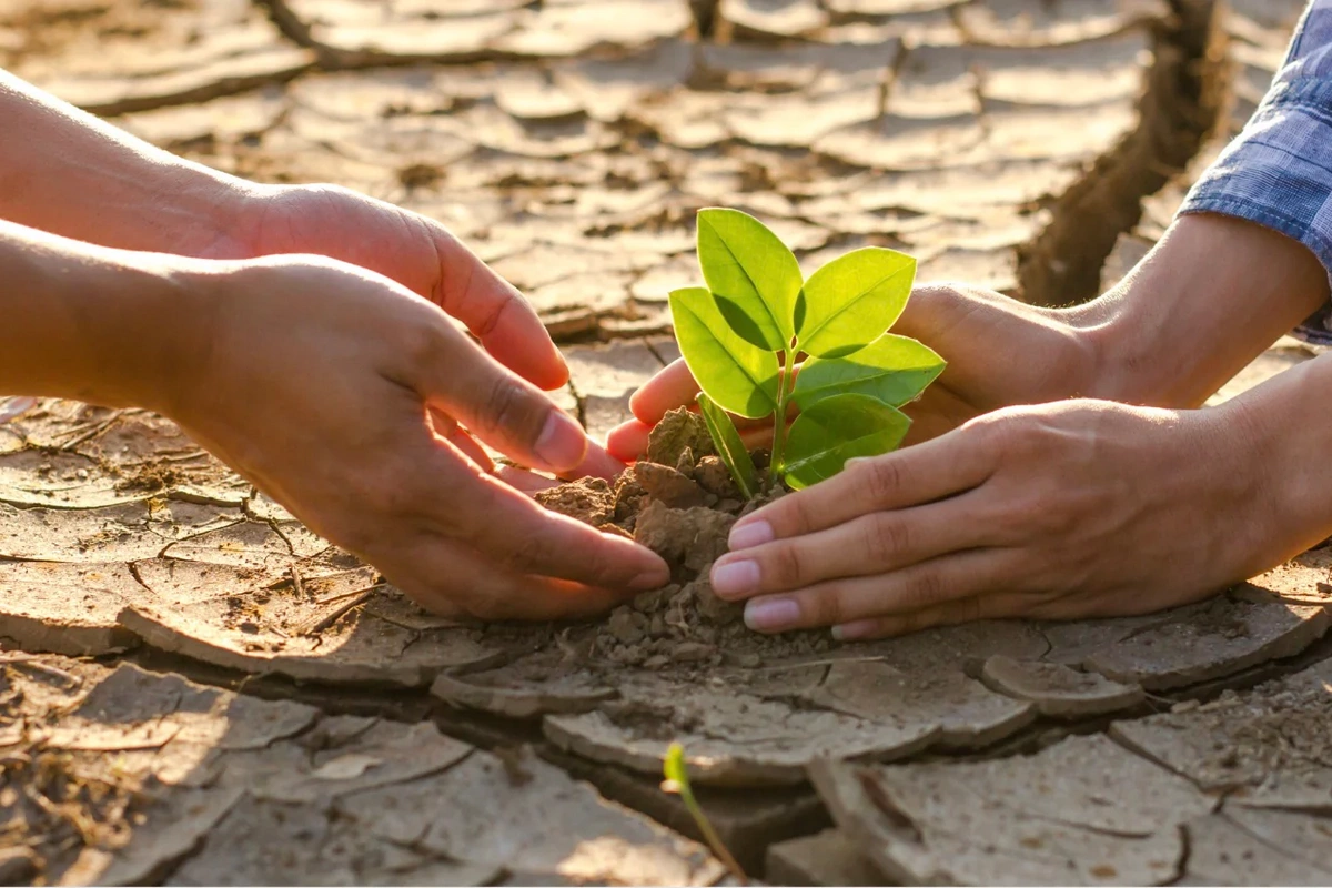 Central Asian Leaders Join Forces to Address Climate Change Challenges