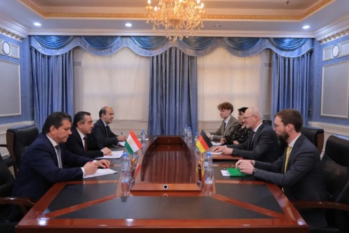 Tajikistan, Germany Discuss Boosting Bilateral Cooperation