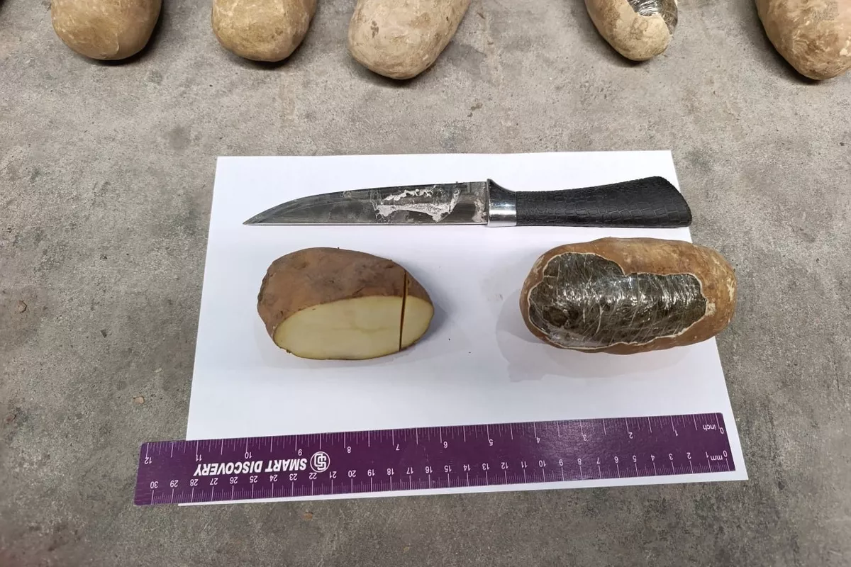 Uzbekistan Foils Hashish Smuggling Hidden in Potato Truck