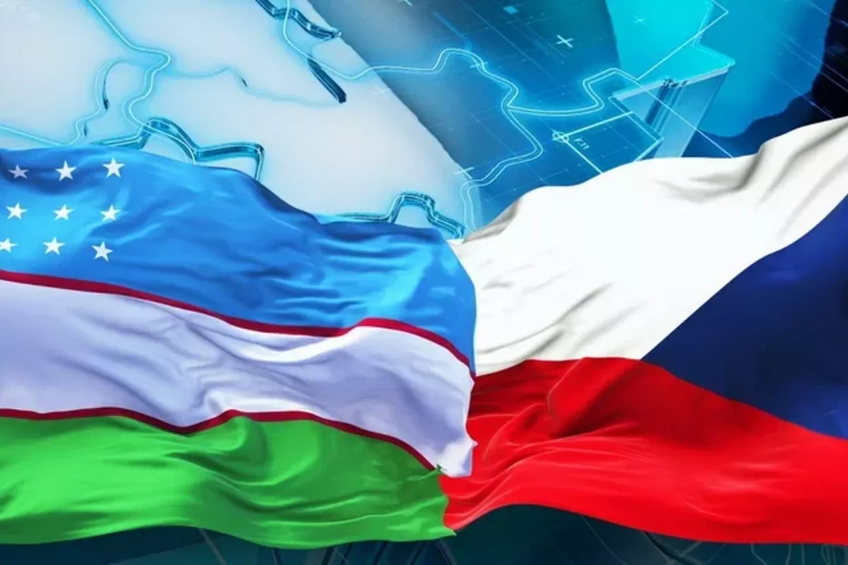 Uzbek Medical Professionals to Join Czech Healthcare Under New Deal