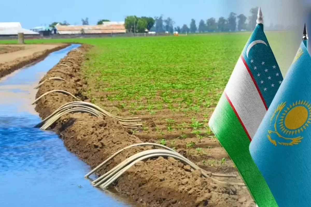 Kazakhstan, Uzbekistan in Talks Over New Water Distribution Deal