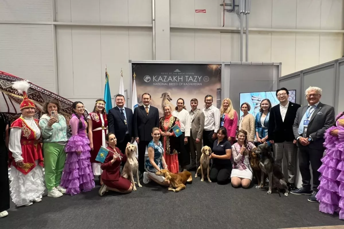 Kazakh President Praises Historic Debut of Tazy Breed at 2025 World Dog Show