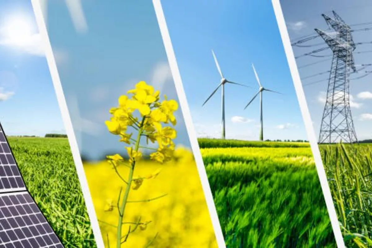 Uzbekistan, China Deepen Renewable Energy Collaboration
