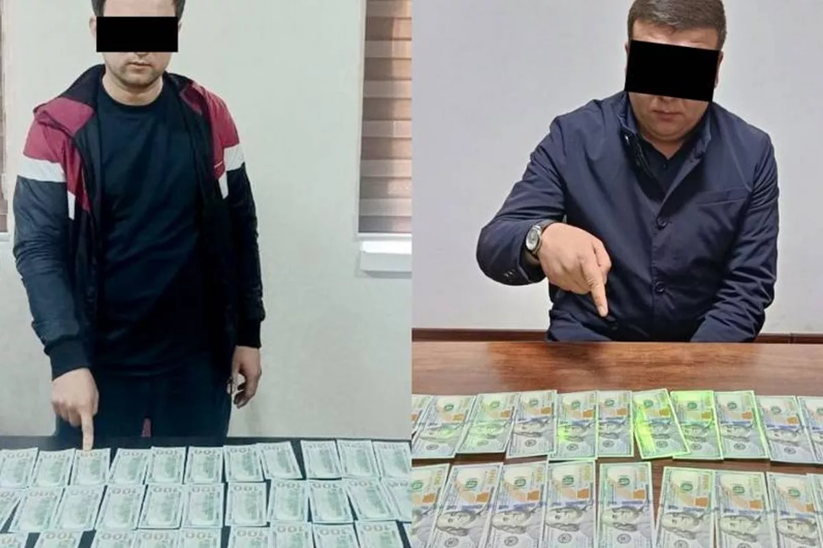 Uzbekistan Cracks Down on Illegal Job Placement Abroad